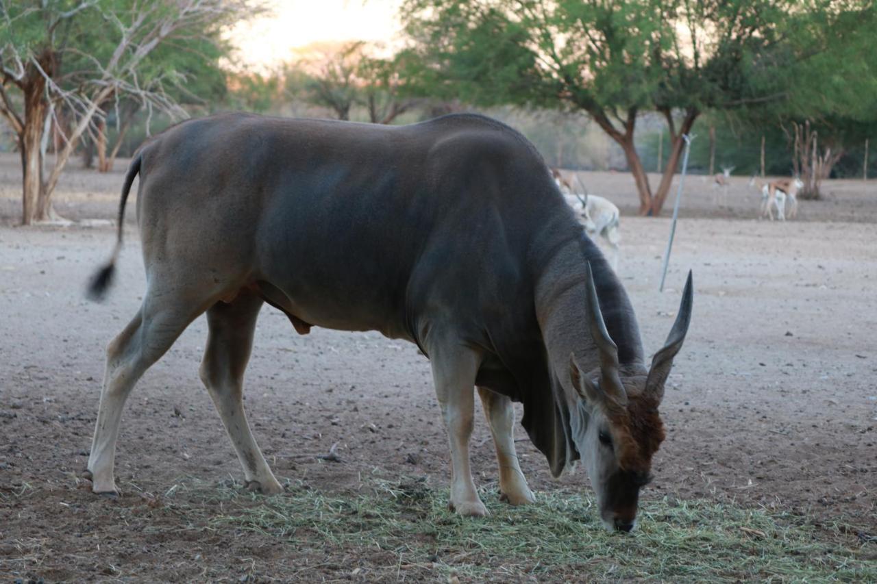 Maritz Country Lodge Keetmanshoop Buitenkant foto